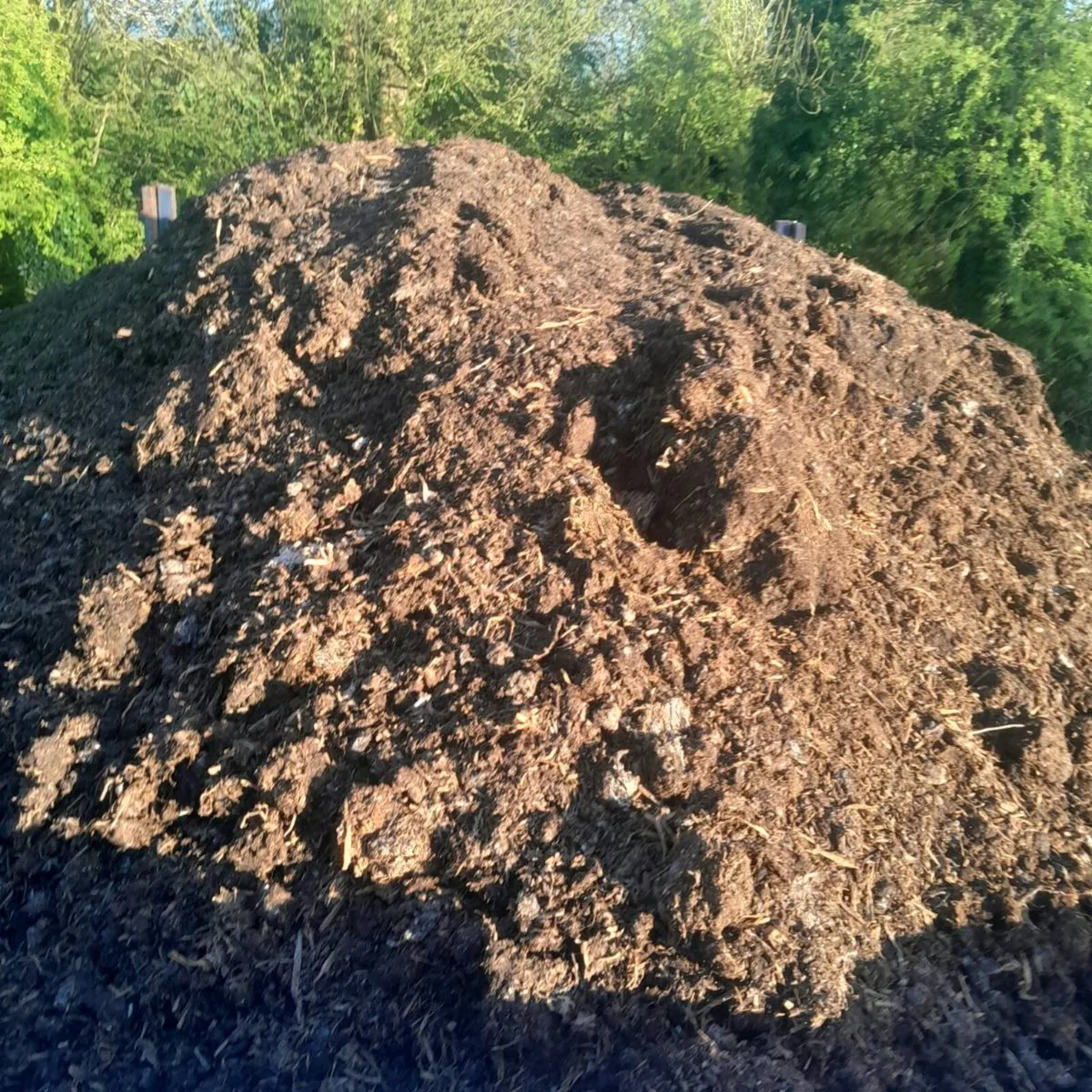 Mushroom compost delivered - Image 3