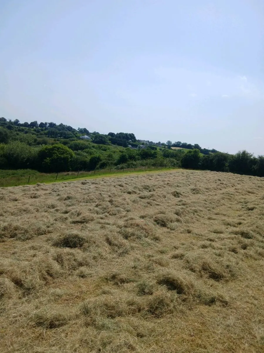Hay Bale's - Image 1