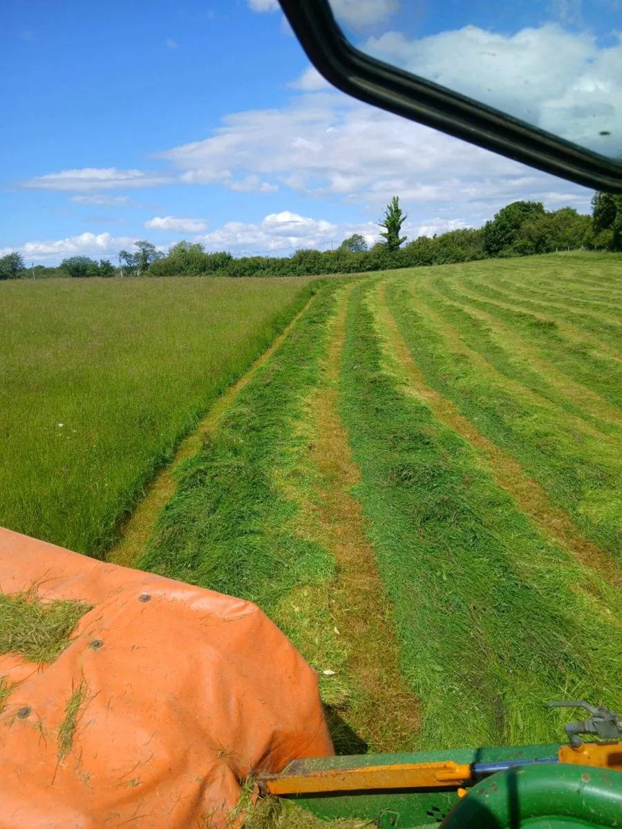 Hay Bale's - Image 3