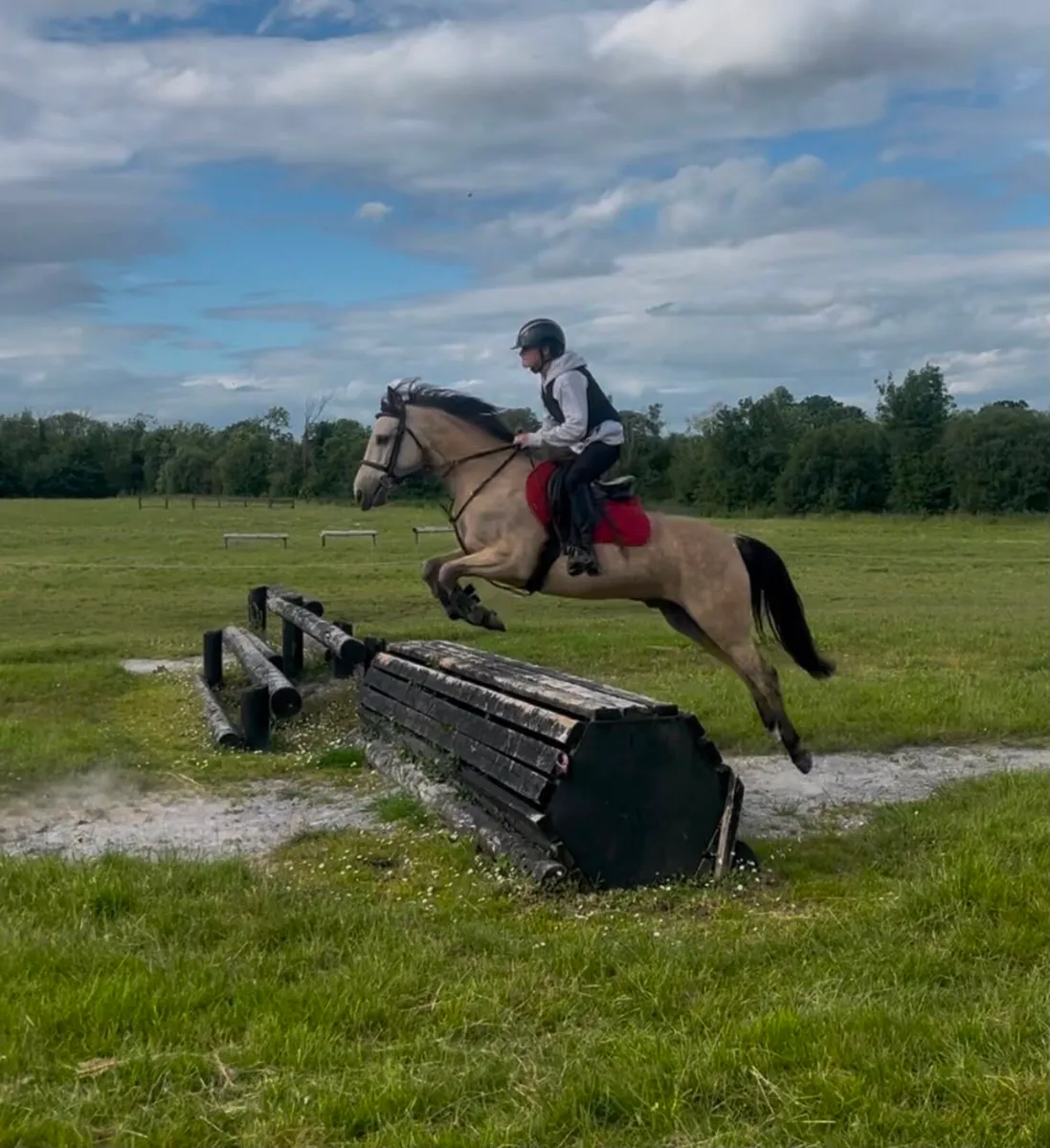 146 Pony. - Image 3