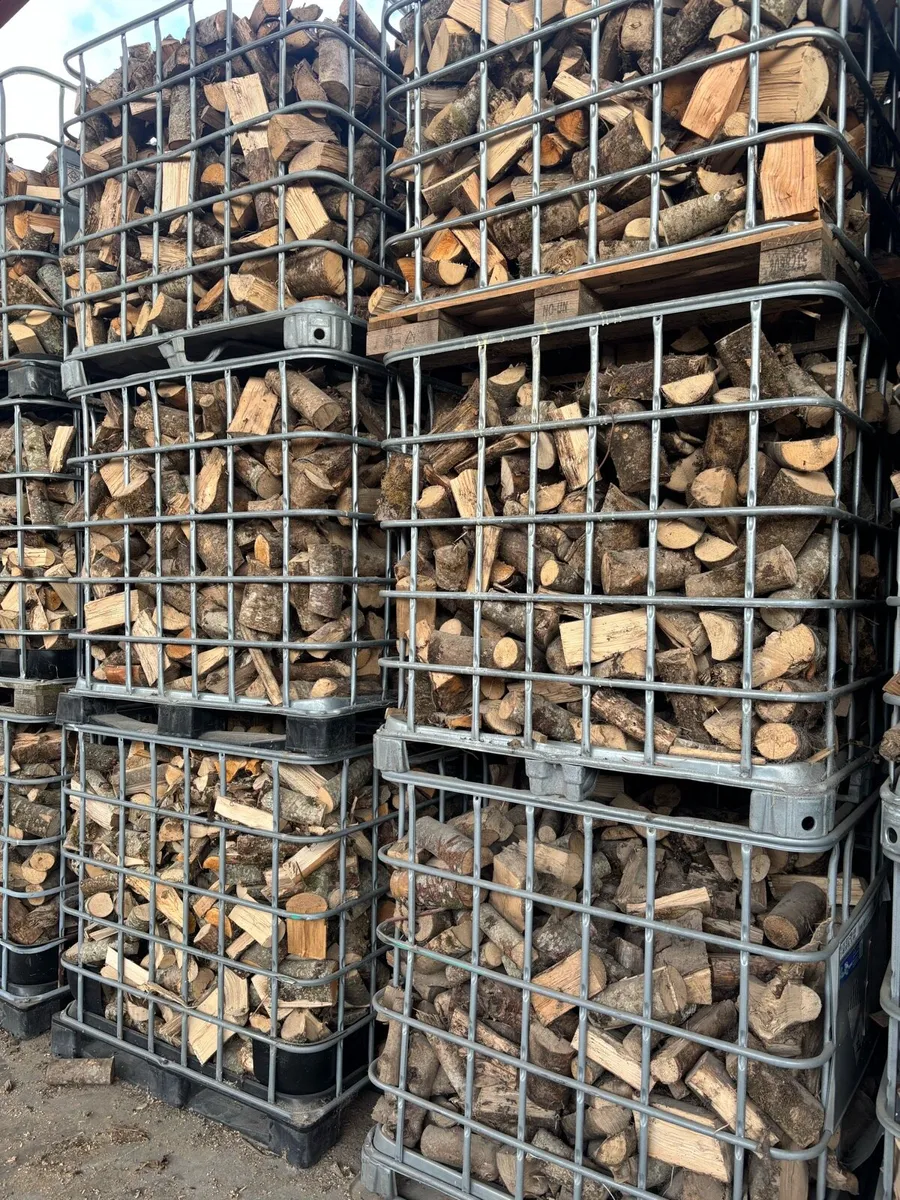 Firewood - Image 4