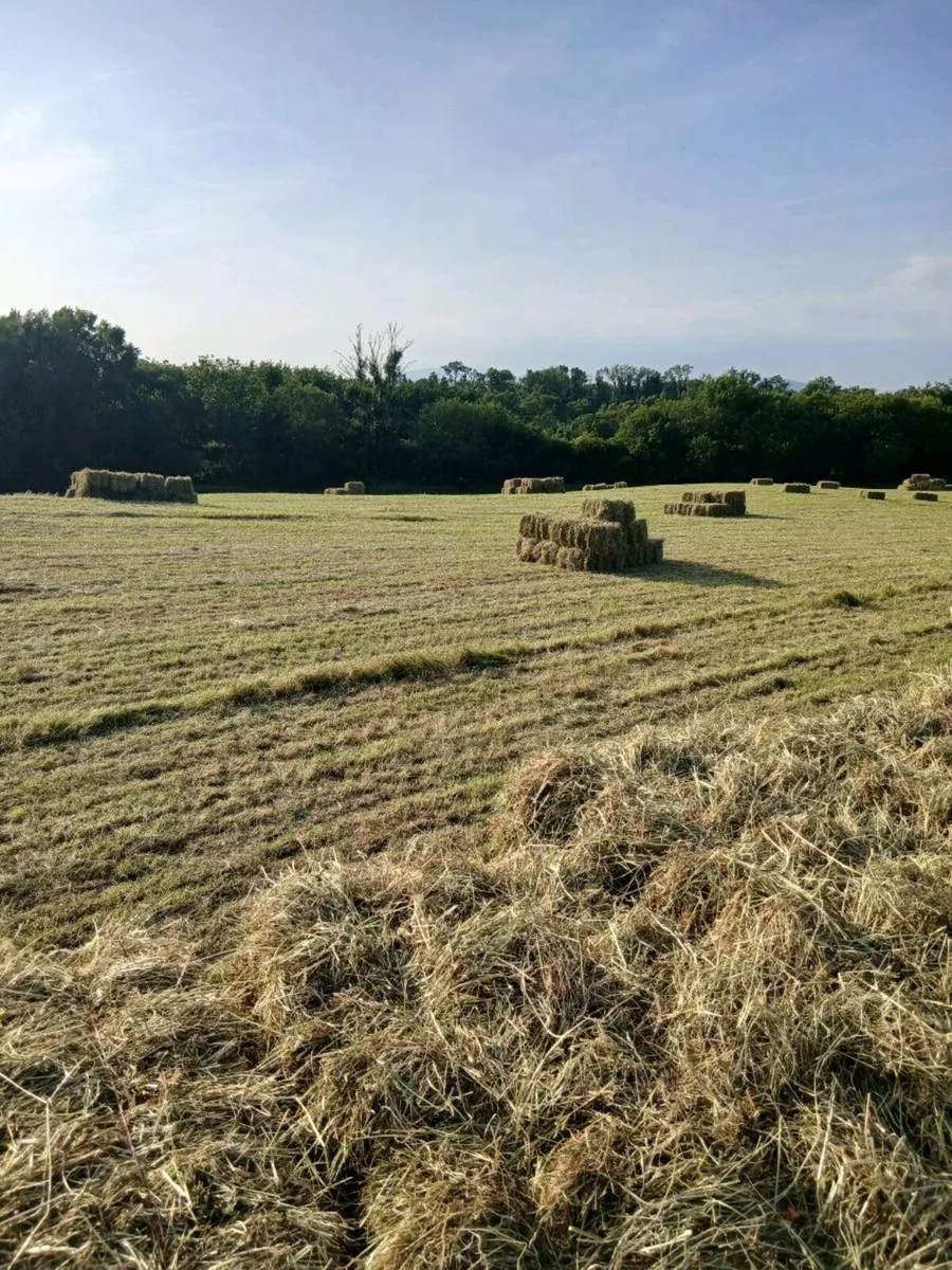 Square Hay Bale's - Image 1