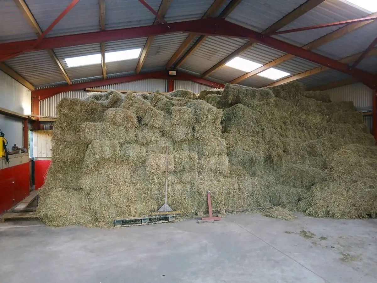 Square Hay Bale's - Image 3