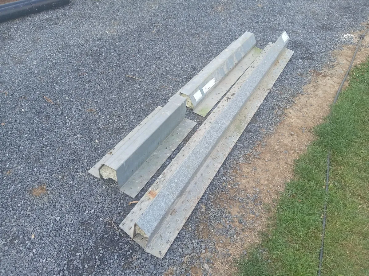 Gutters and Lentils - Image 2