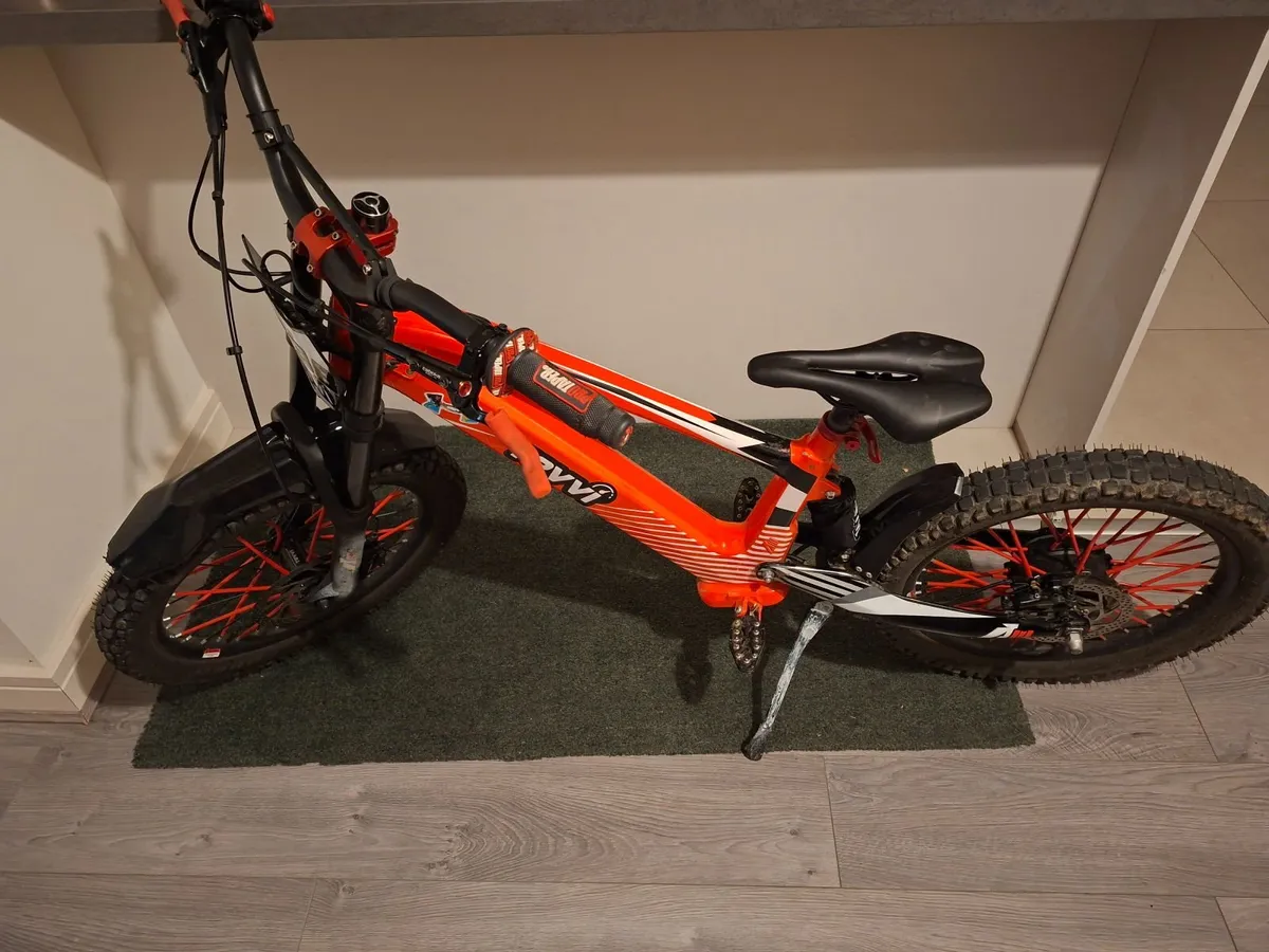 Revvi 20 Bike with charger - Image 1