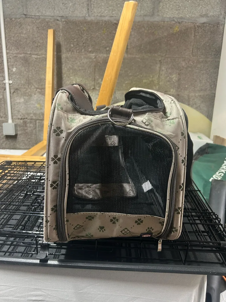 DOG CRATE AND PUPPY CARRIERS - Image 2