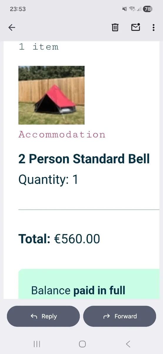 Electric Picnic Pink Moon Camping