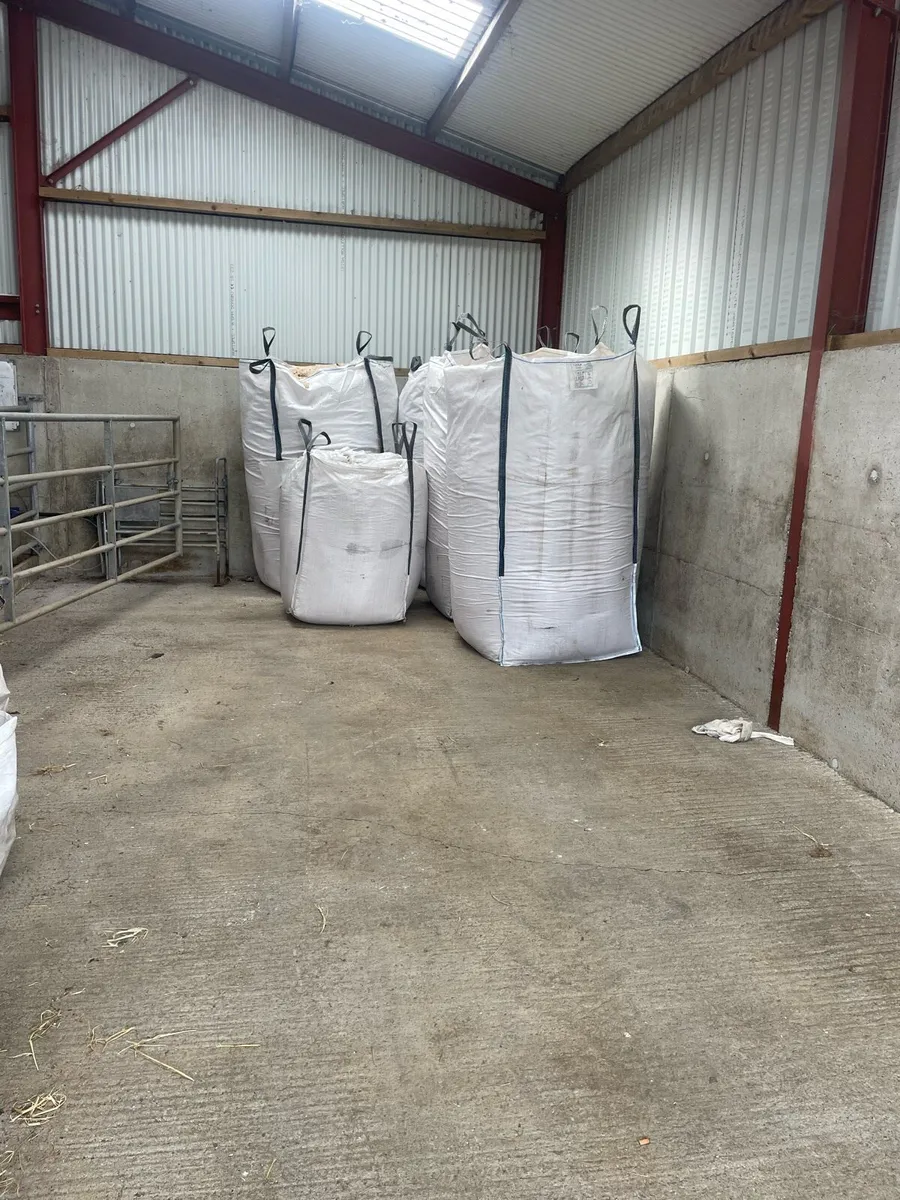 Sawdust - Image 2