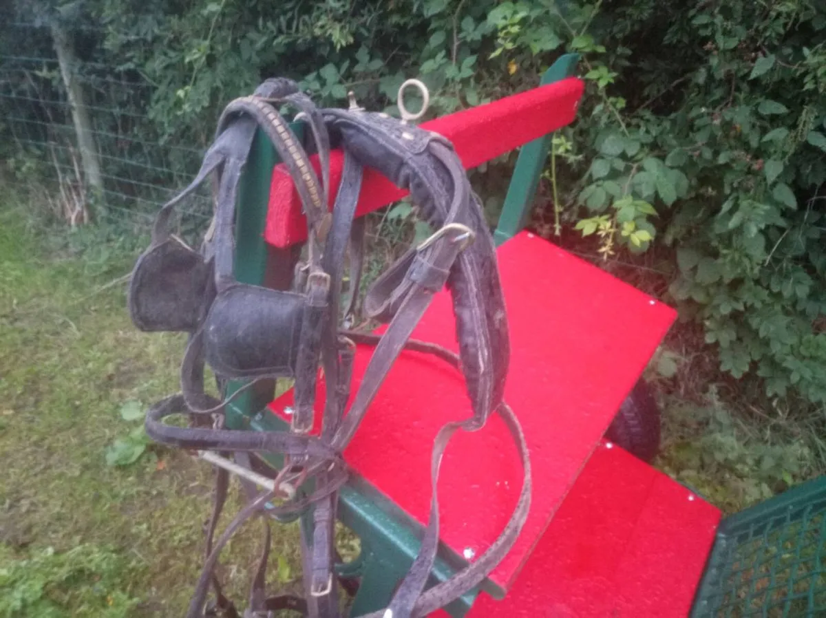 Pony, cob, horse. Road cart. - Image 3