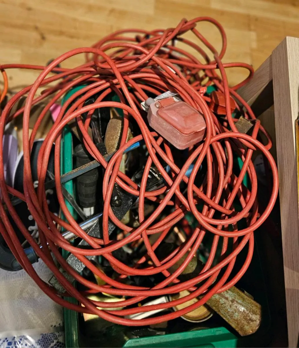 2 Heavy Duty Extensions Leads - Image 1