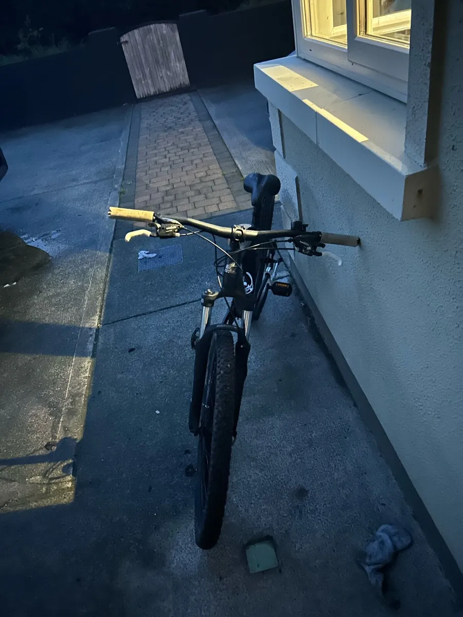 Bike - Image 1