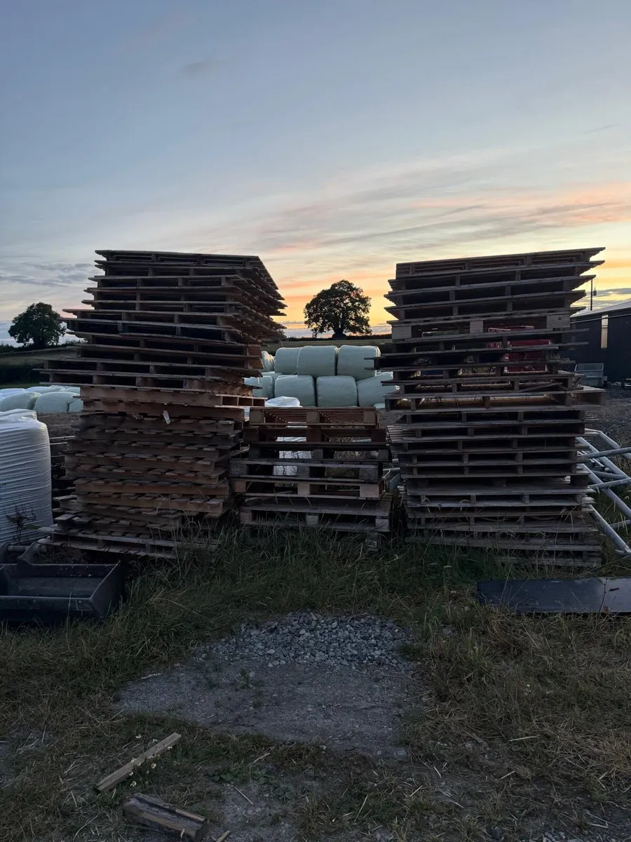 Timber pallets - Image 1