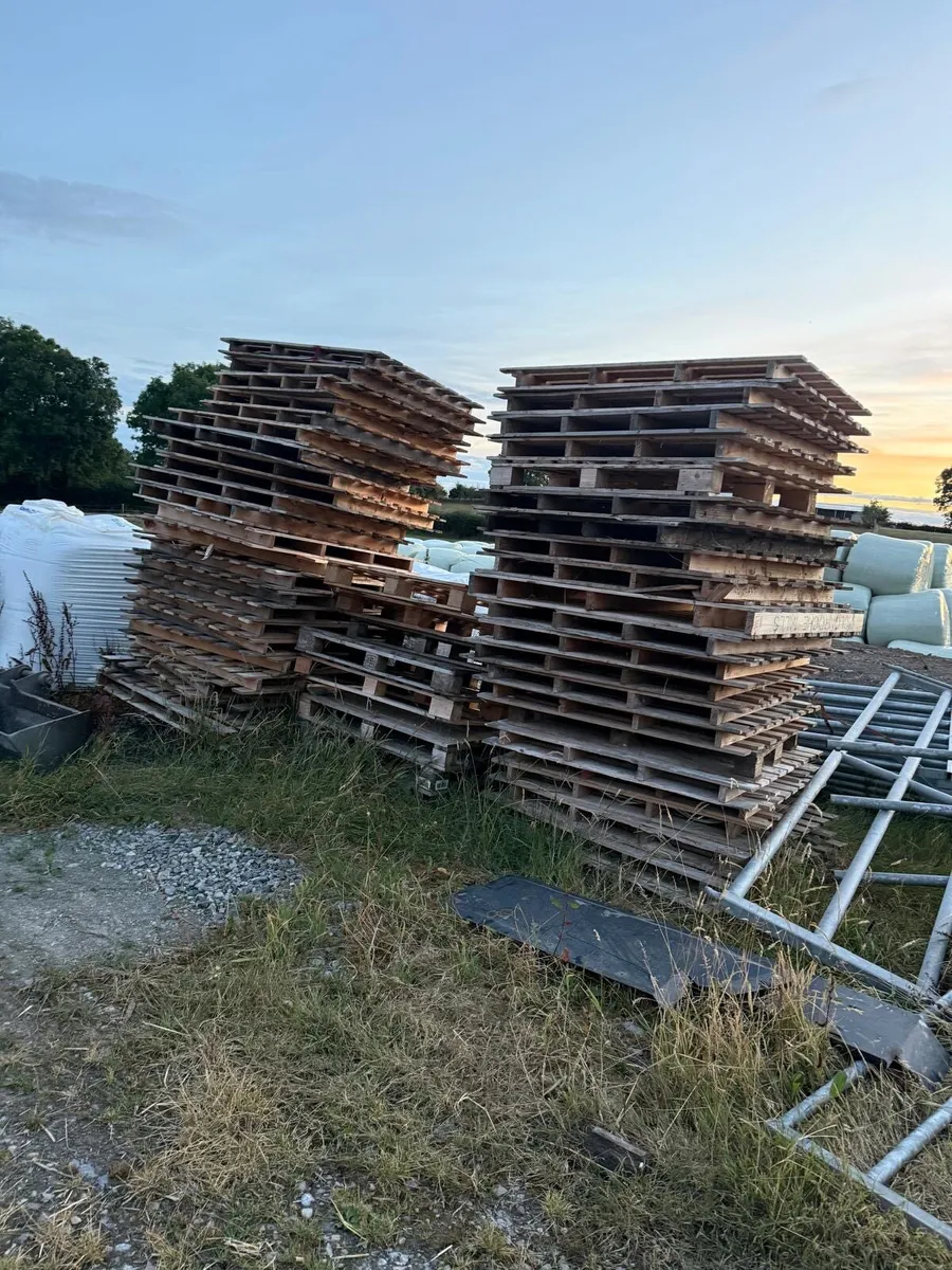 Timber pallets - Image 2