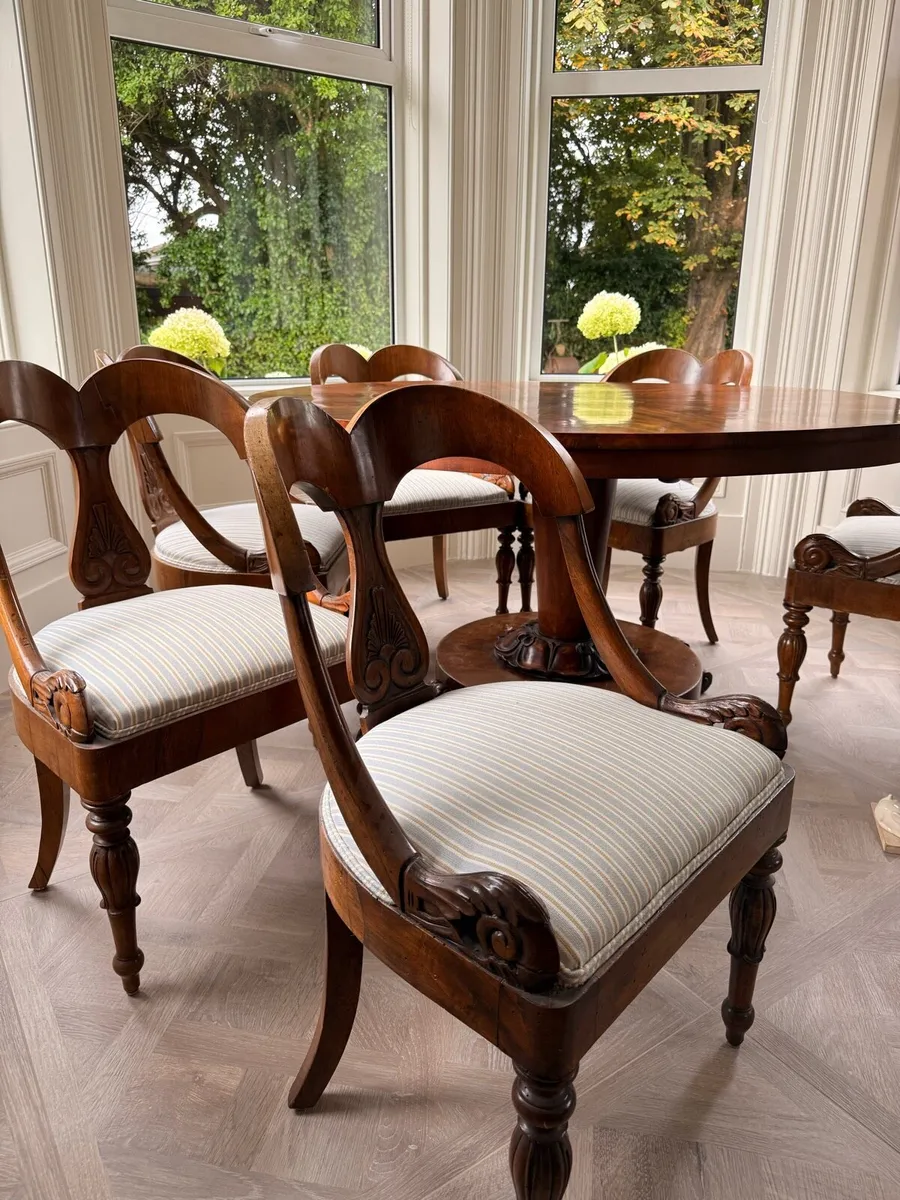 Set of 6 neoclassical chairs newly upholstered - Image 3