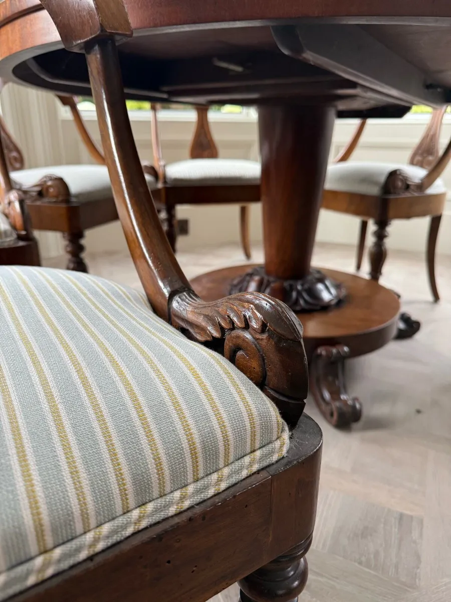Set of 6 neoclassical chairs newly upholstered - Image 4