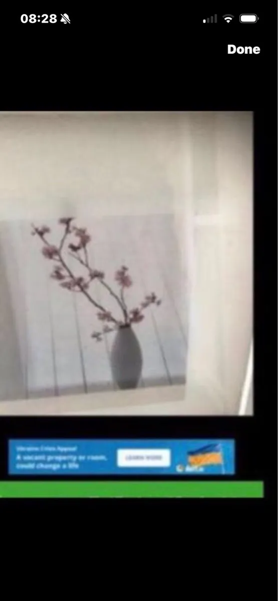 Framed Floral Prints - Image 3