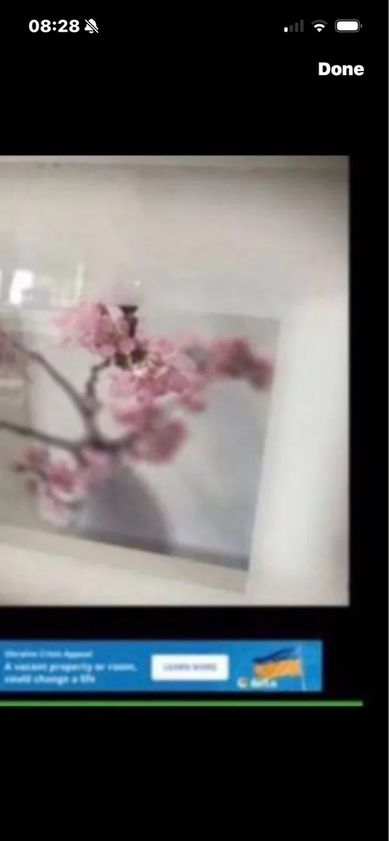 Framed Floral Prints - Image 4