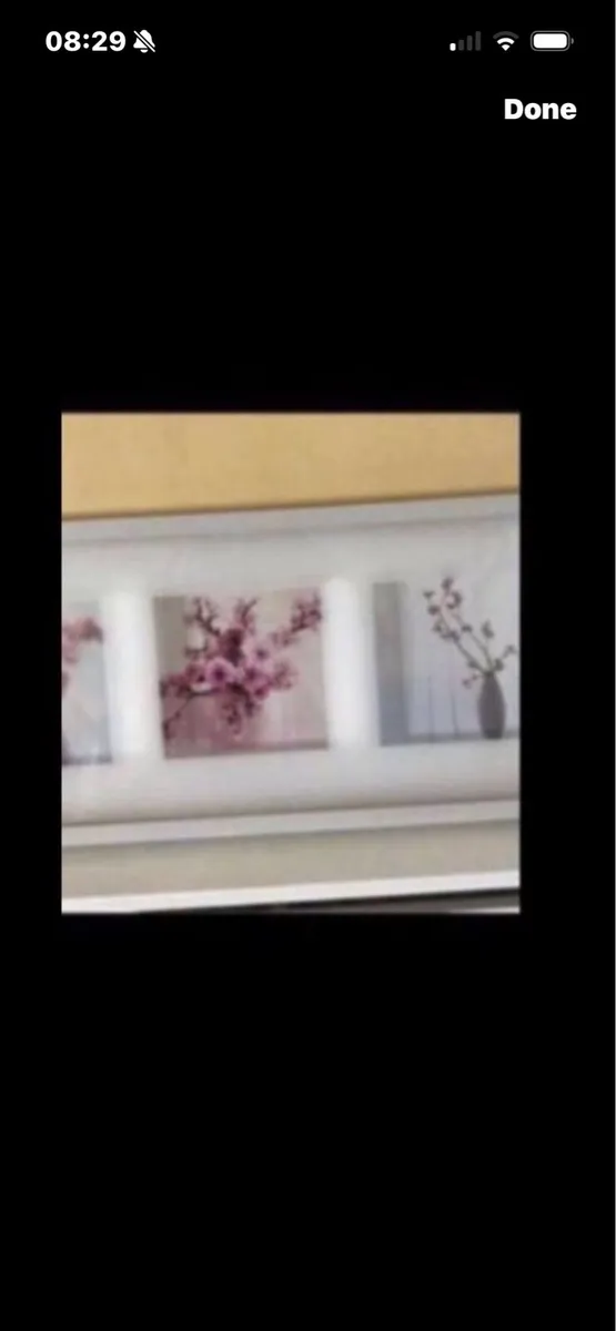 Framed Floral Prints - Image 1
