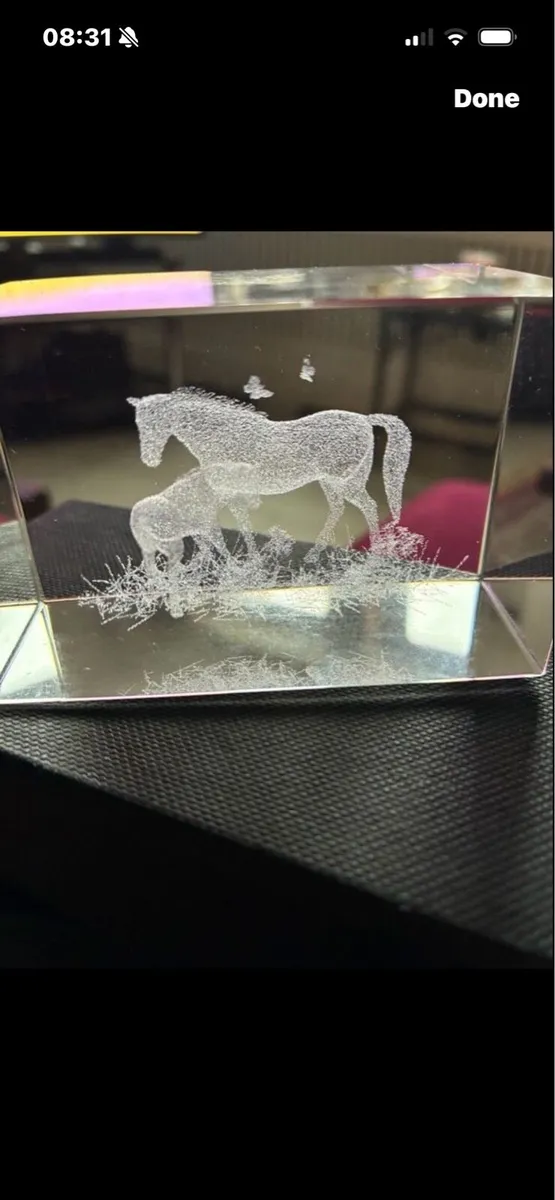 Etched Glass Horse Display - Image 1