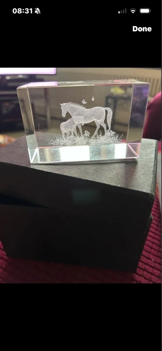 Etched Glass Horse Display - Image 2
