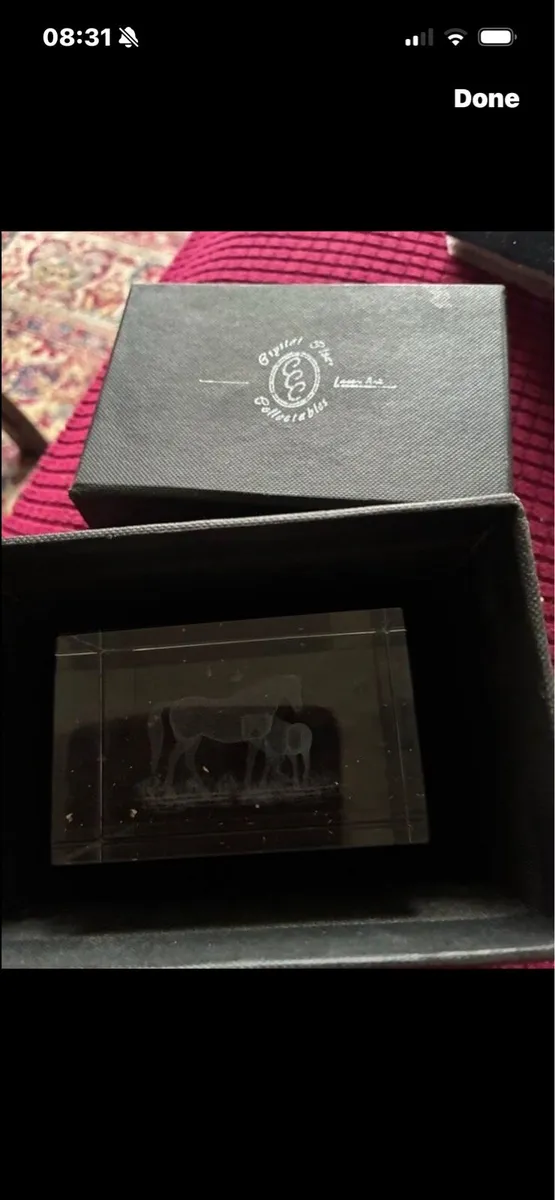Etched Glass Horse Display - Image 3