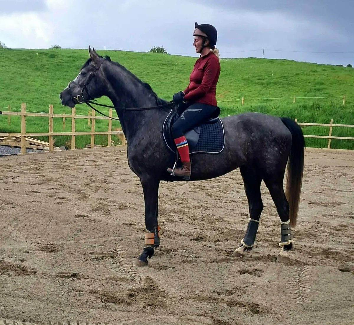 Stunning homebred 5 year old - Image 4