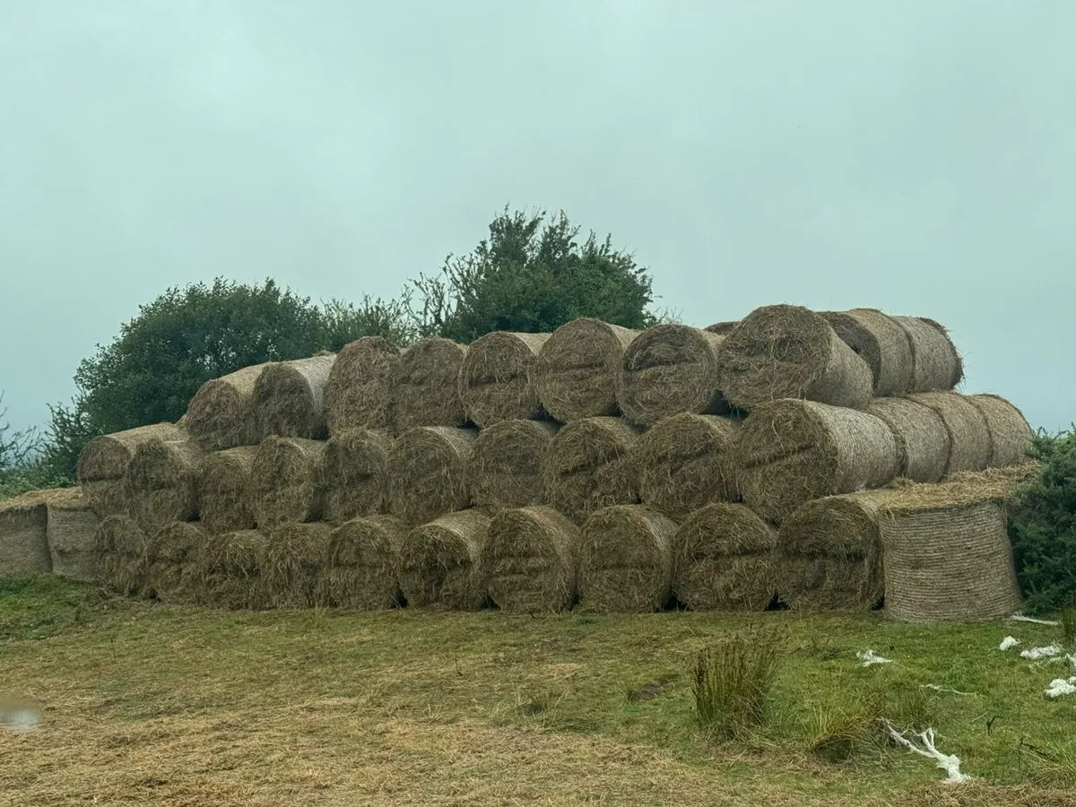 Hay bales - Image 1