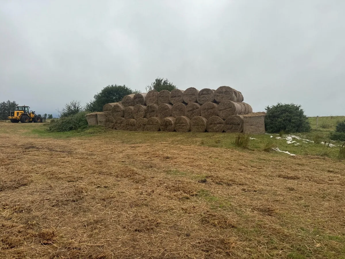 Hay bales - Image 2