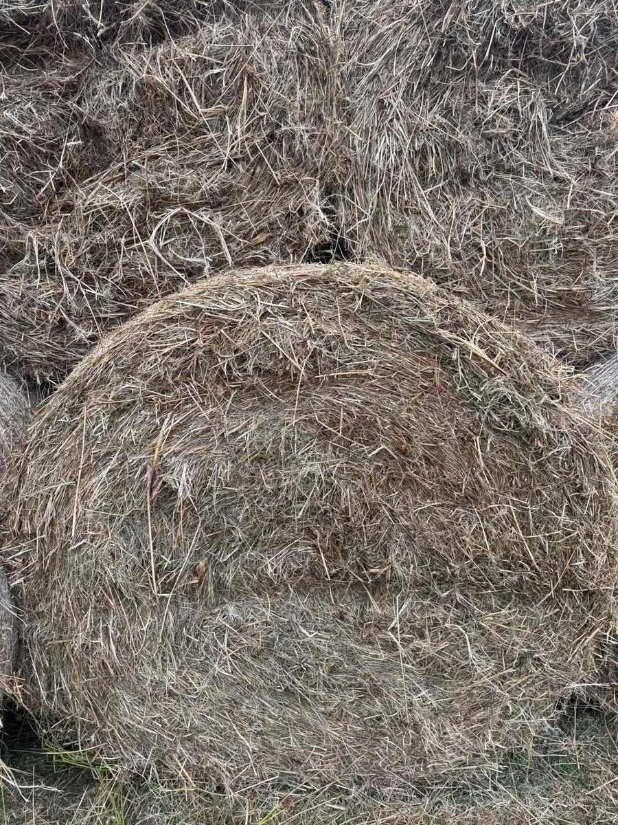 Hay bales - Image 4