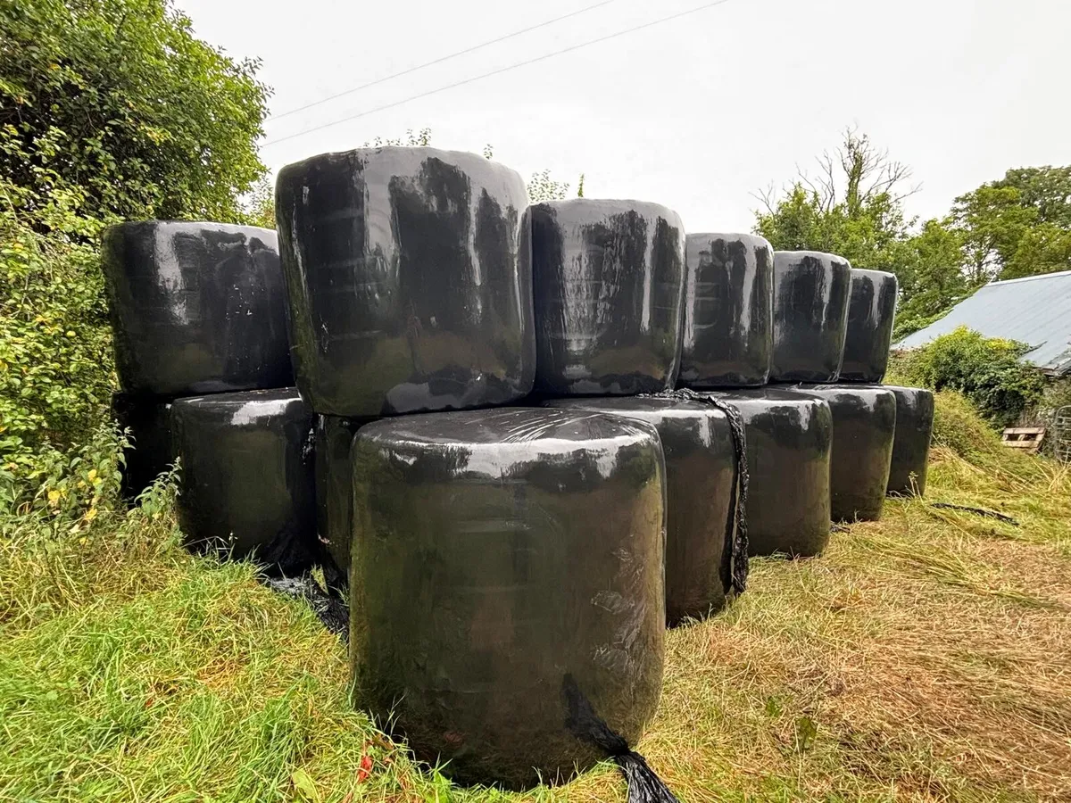 Organic Haylage - Image 1