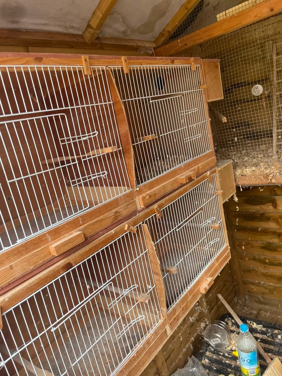 Breeding boxes - Image 2