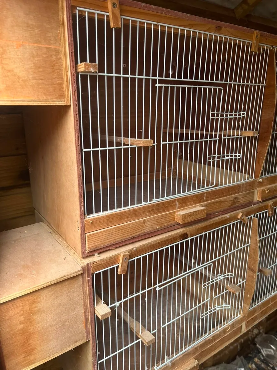 Breeding boxes - Image 1