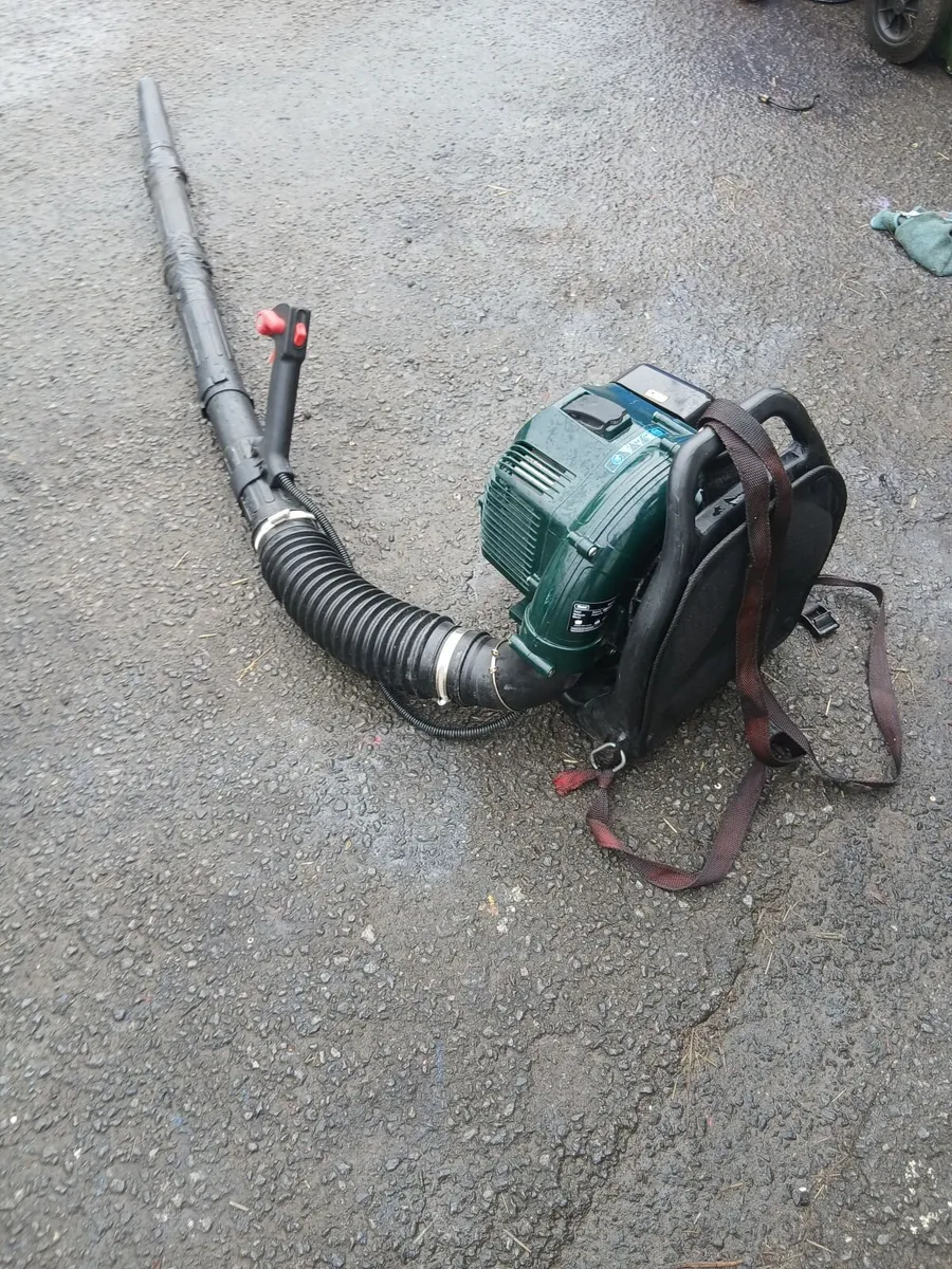Leaf blower petrol running 100-percent - Image 4