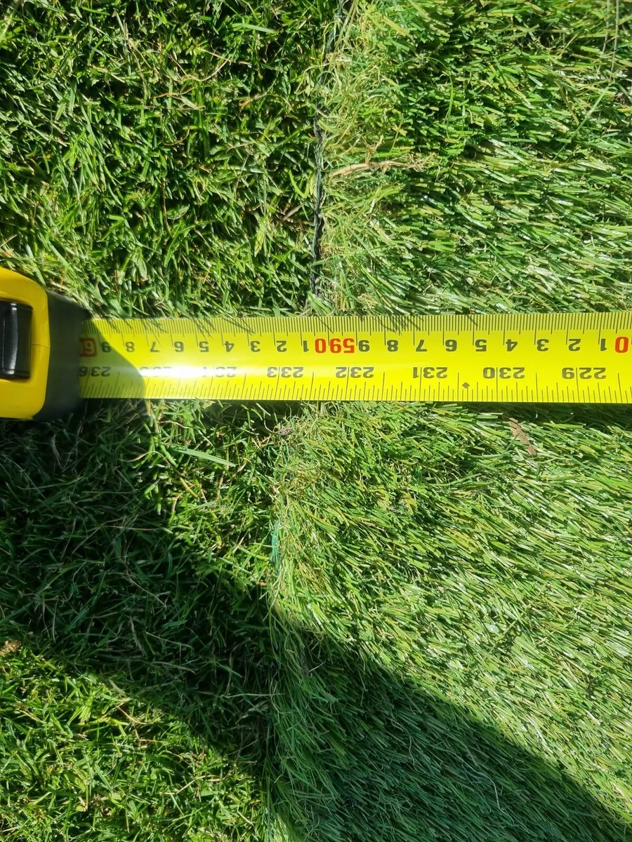 New Piece of Artifical Grass - Image 2