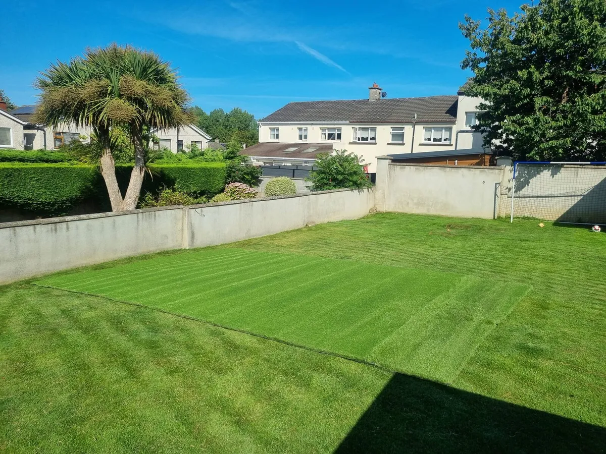 New Piece of Artifical Grass - Image 3