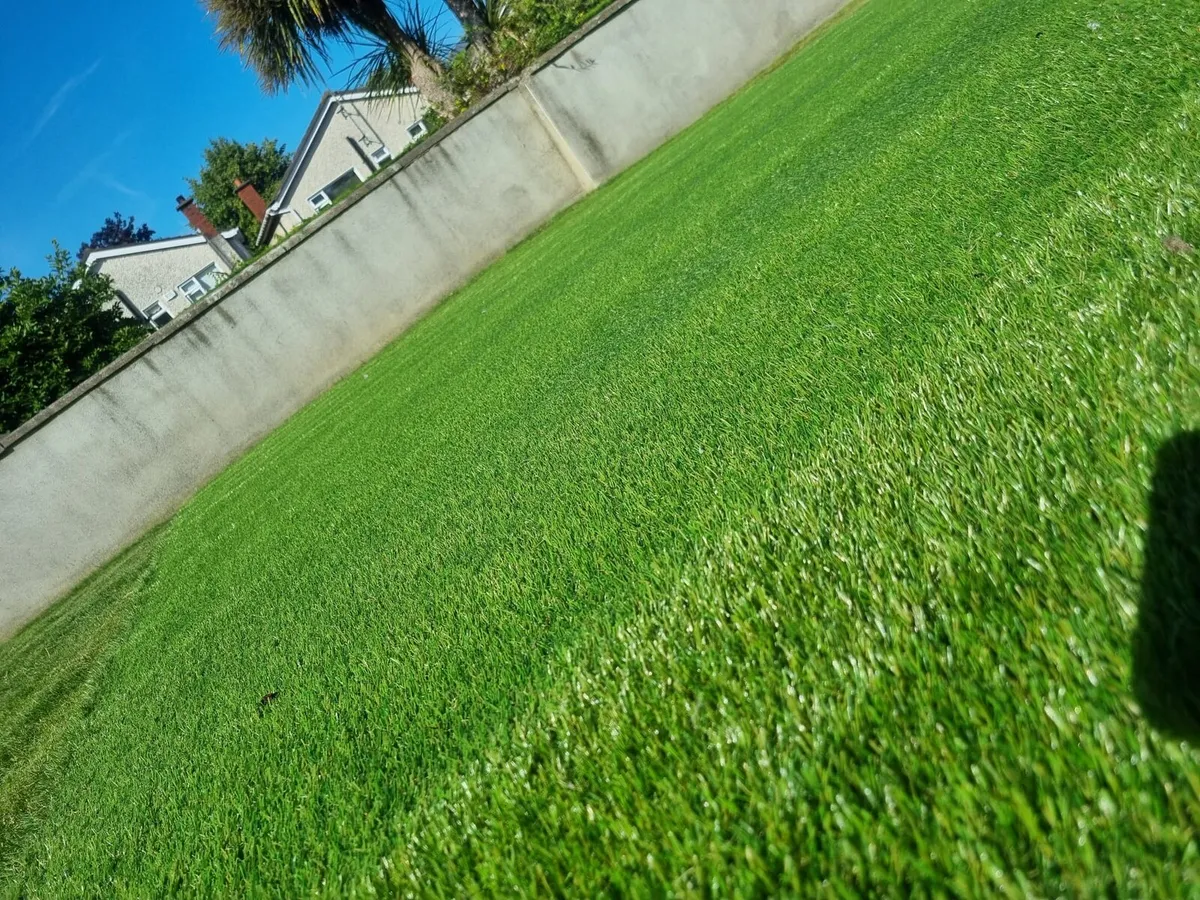 New Piece of Artifical Grass - Image 4