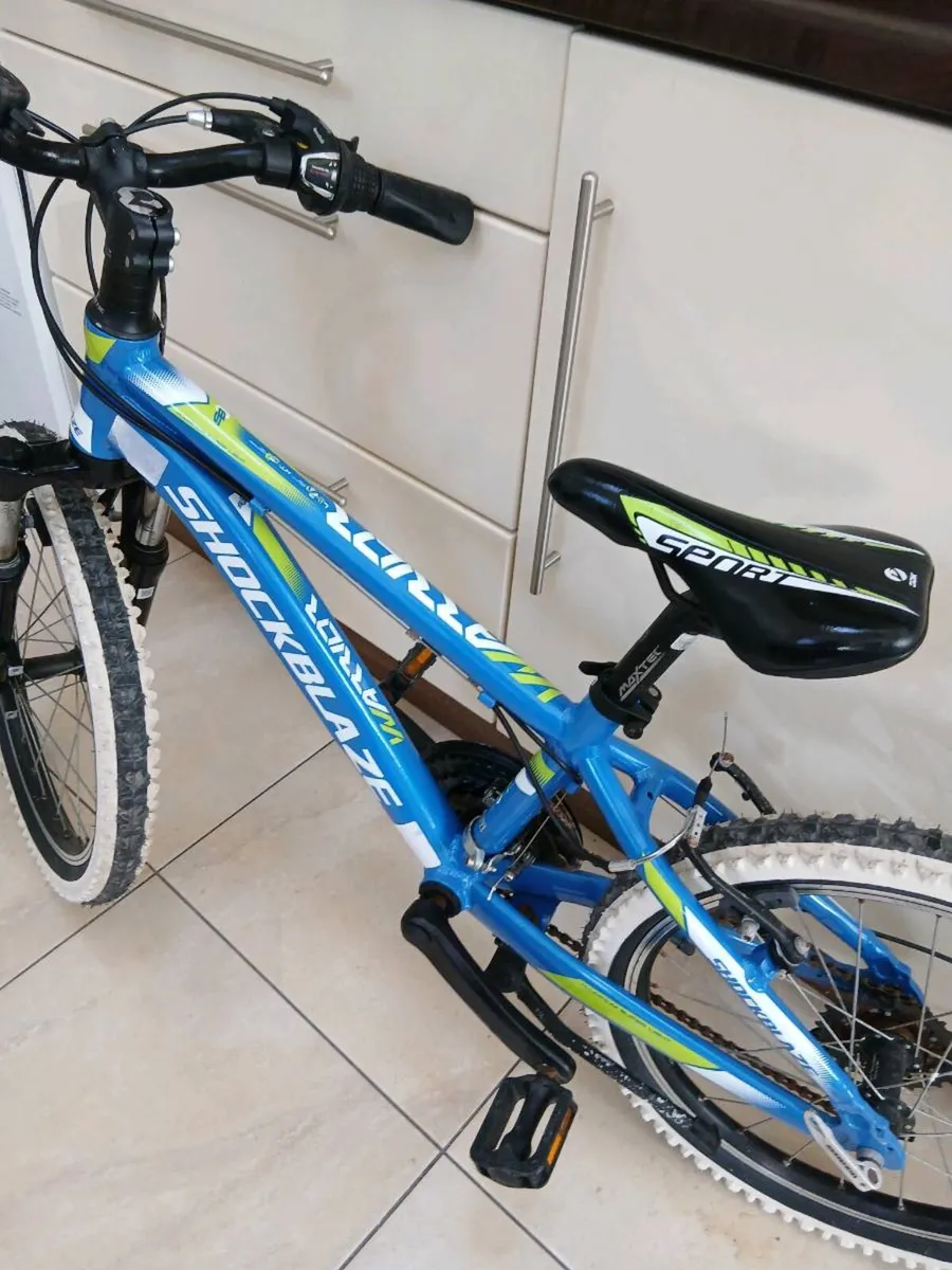 BOYS MOUNTAIN BICYCLE 20 INCH WHEELS - Image 4