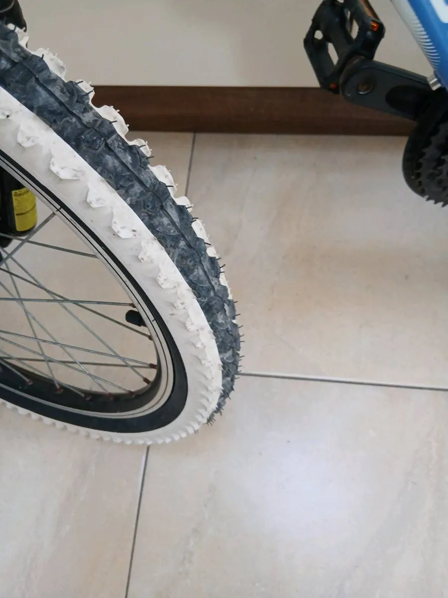 BOYS MOUNTAIN BICYCLE 20 INCH WHEELS - Image 3