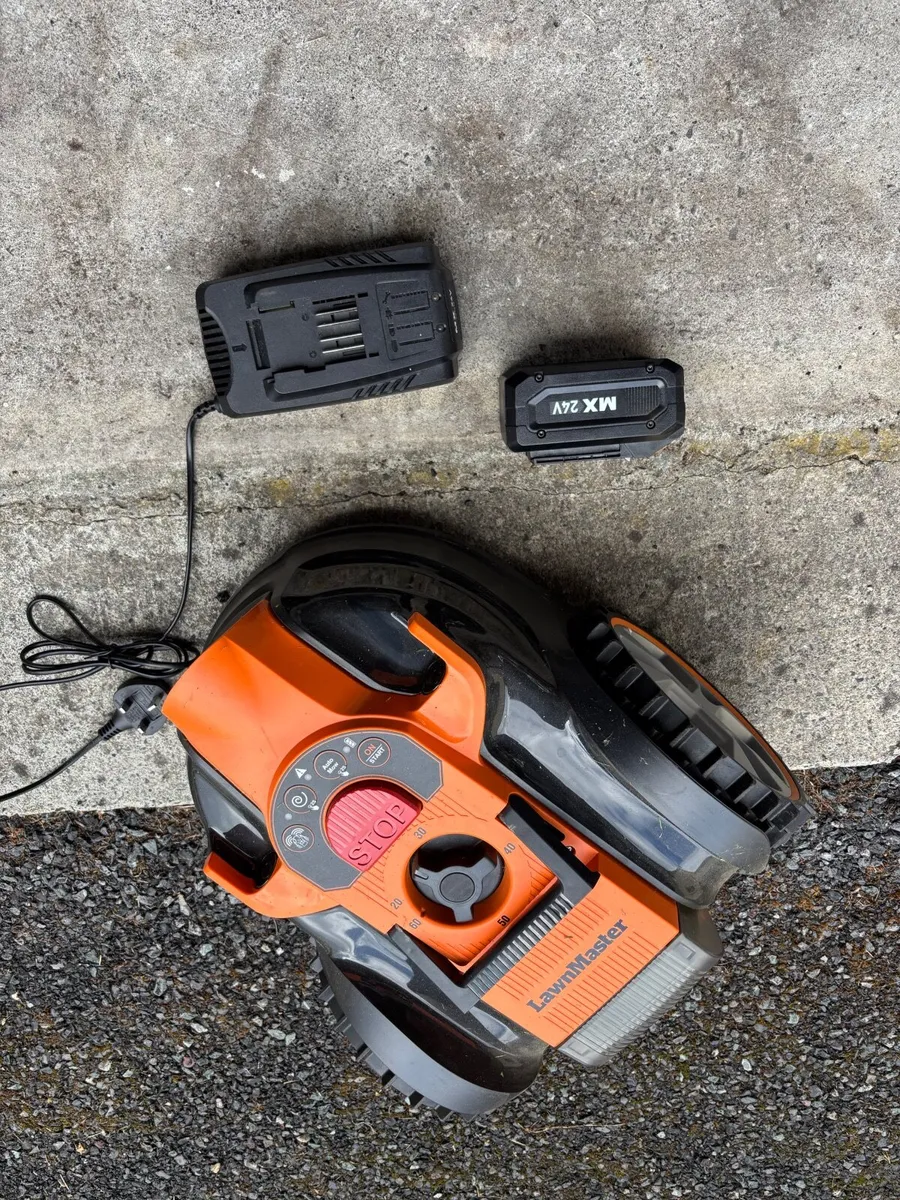 Robot Lawnmower - Image 2