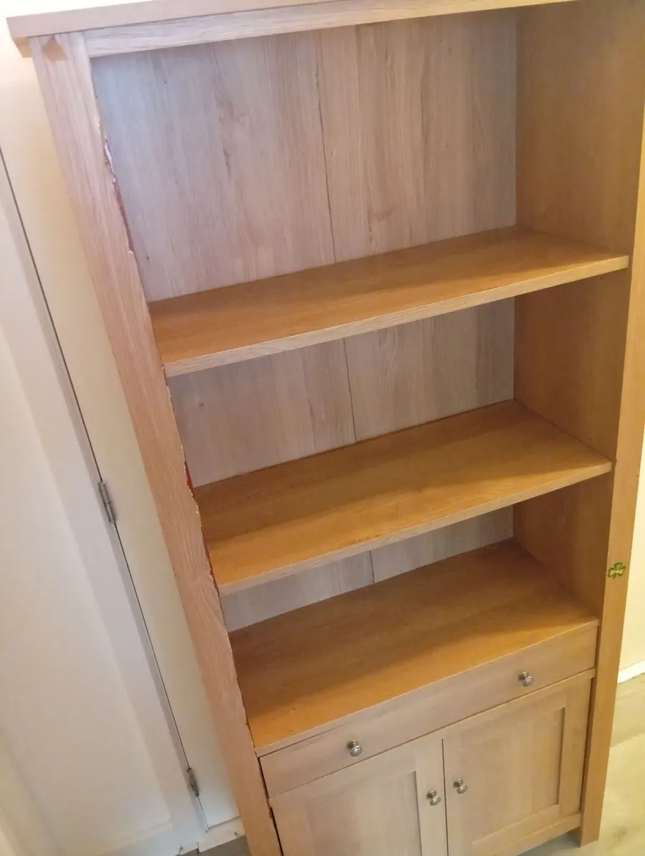 Roomy Bookcase Cupboard - Image 3