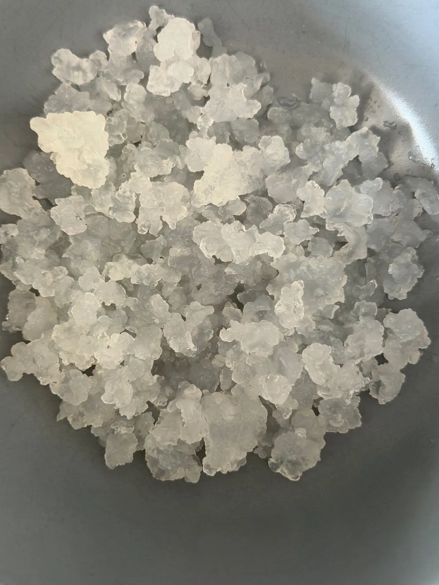 Water Kefir Grains - Image 1