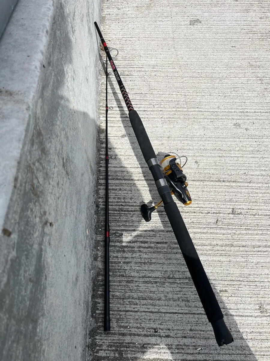 Boat rod  and reel