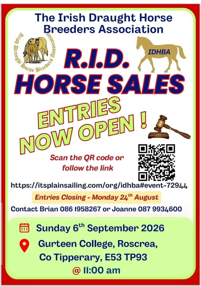 RID HORSE SALES 6TH SEPT