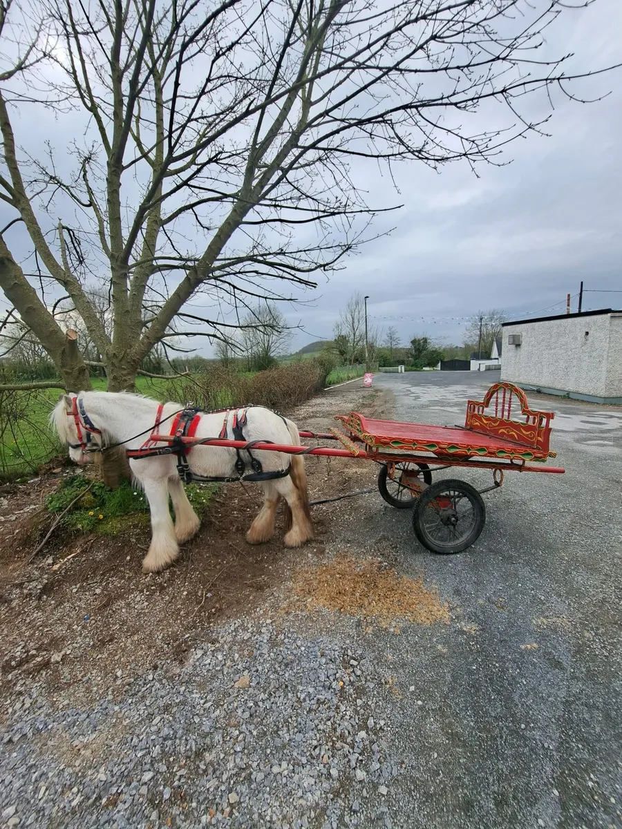 Ride and drive - Image 3