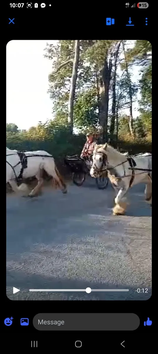 Ride and drive - Image 2