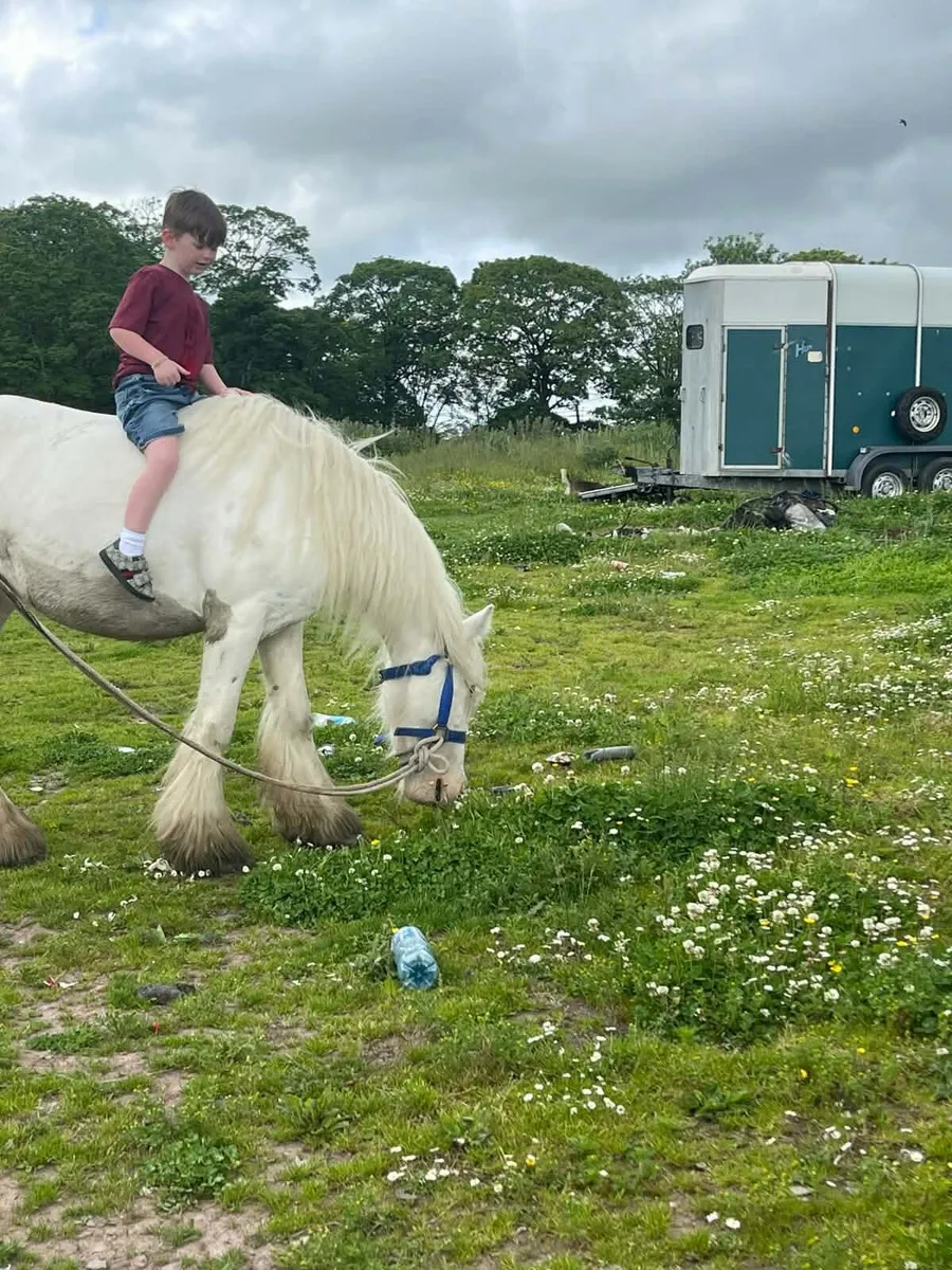 Ride and drive - Image 4