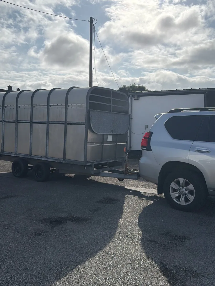 12 x6”6 ft Murphys livestock/ covered in trailer - Image 1