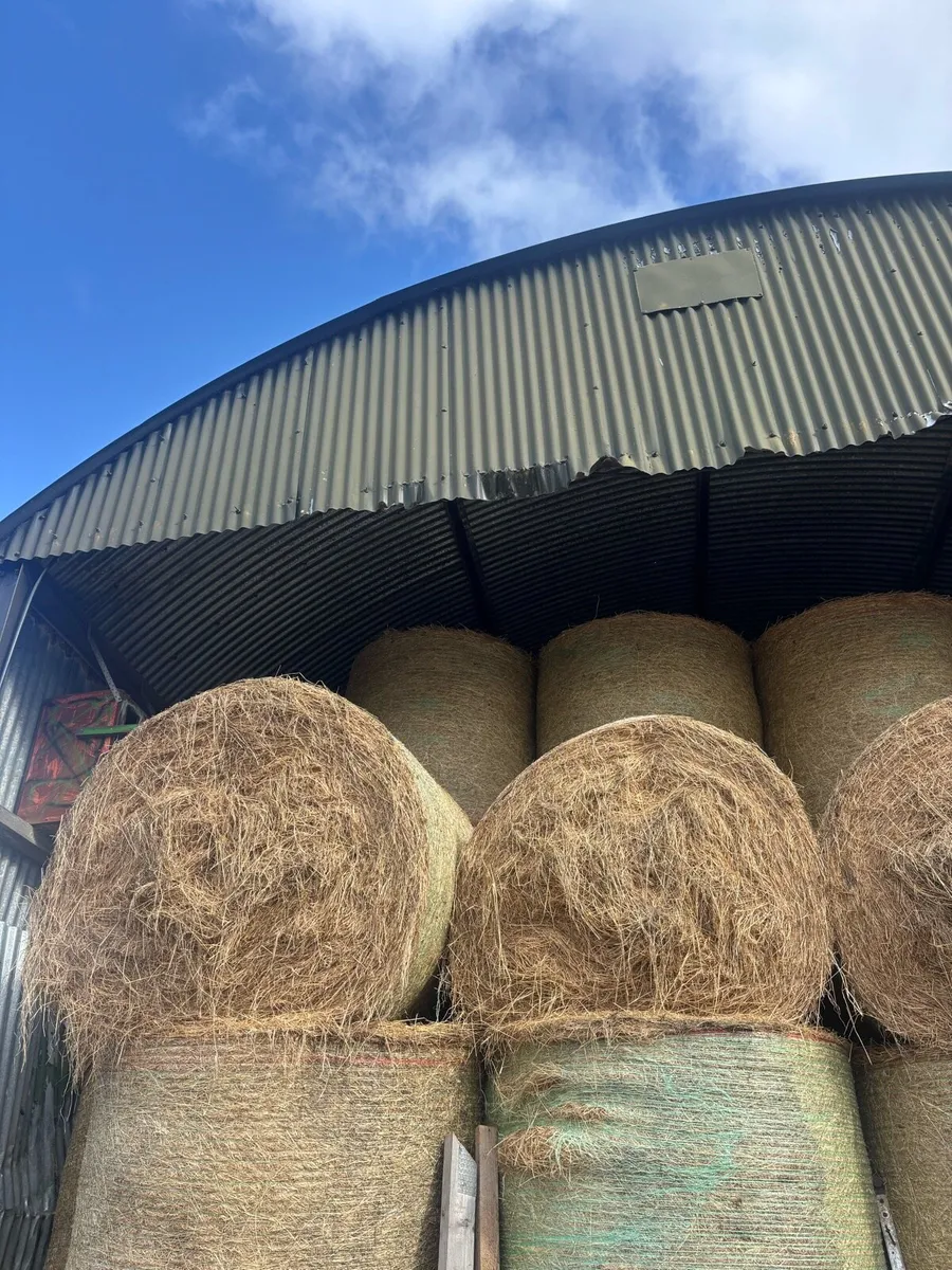 Hay - Image 1