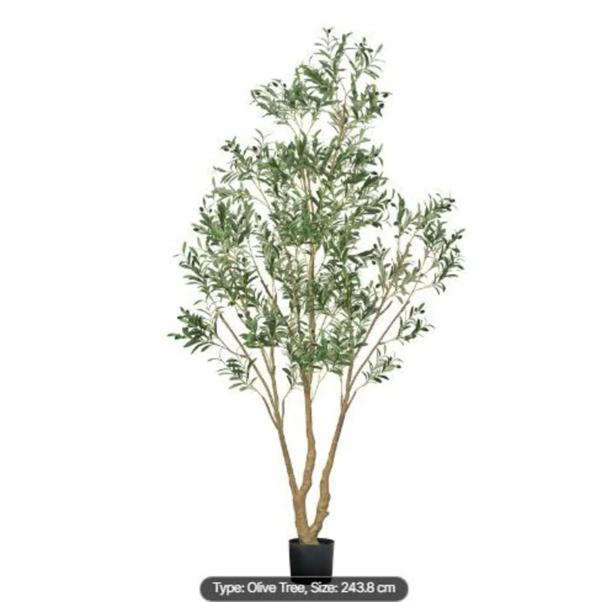 240cm Artificial Olive Tree with Black Pot - Image 3
