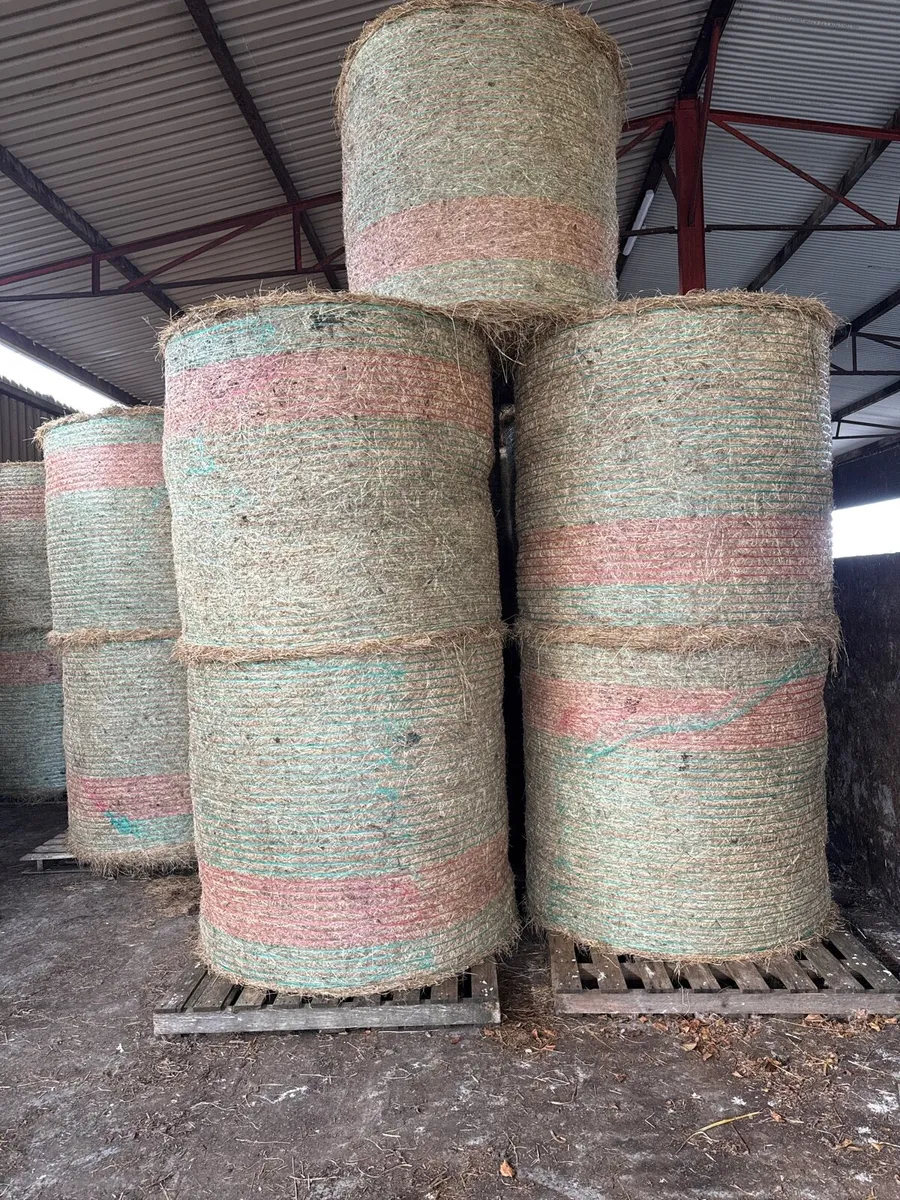 Hay - Image 2
